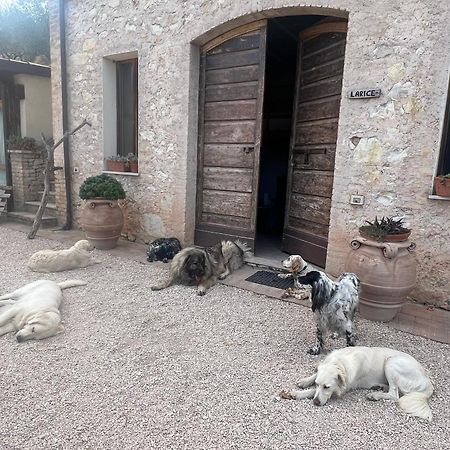 Setterhouseagrihotel تريفي المظهر الخارجي الصورة