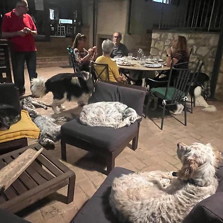 Setterhouseagrihotel تريفي المظهر الخارجي الصورة