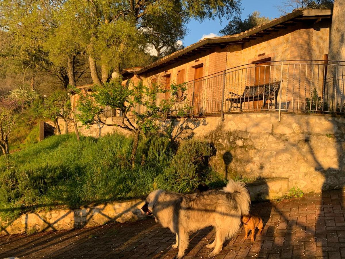 Setterhouseagrihotel تريفي المظهر الخارجي الصورة