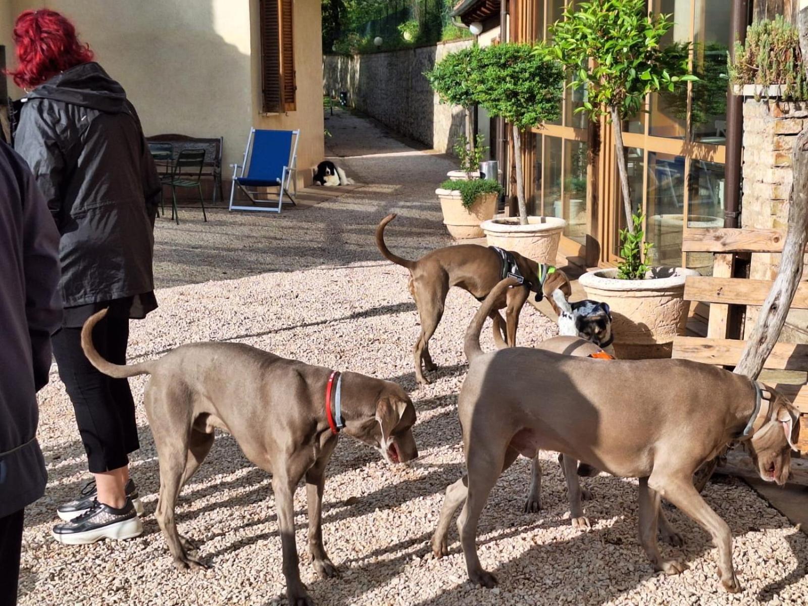 Setterhouseagrihotel تريفي المظهر الخارجي الصورة