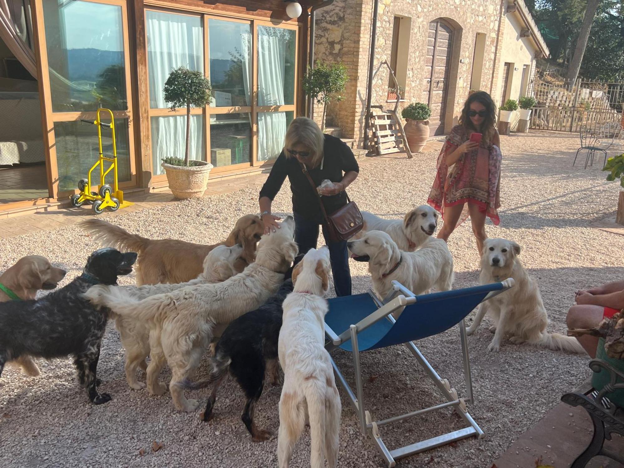 Setterhouseagrihotel تريفي المظهر الخارجي الصورة